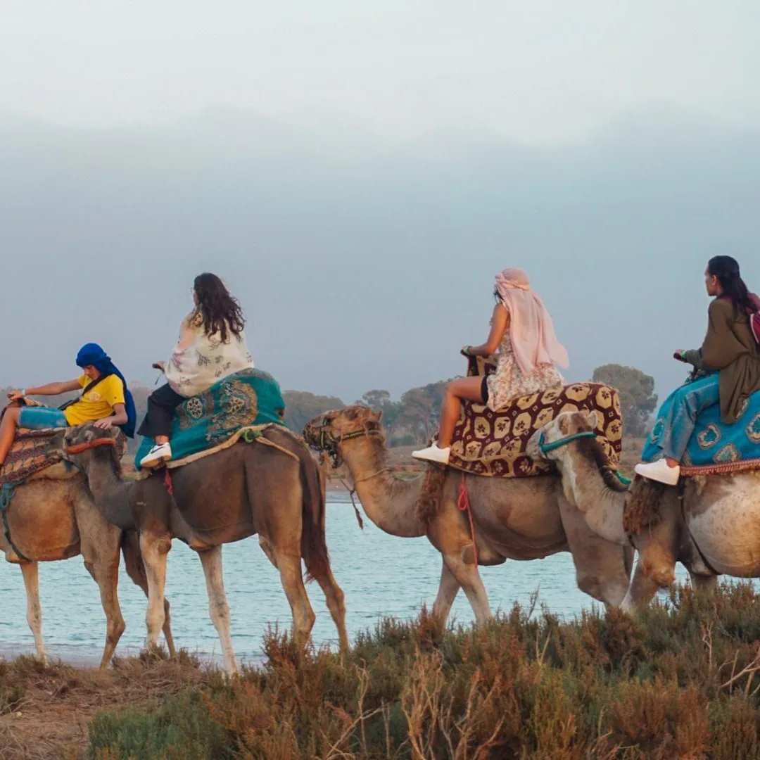 Sunset Camel Experience Taghazout Morocco tour image 2