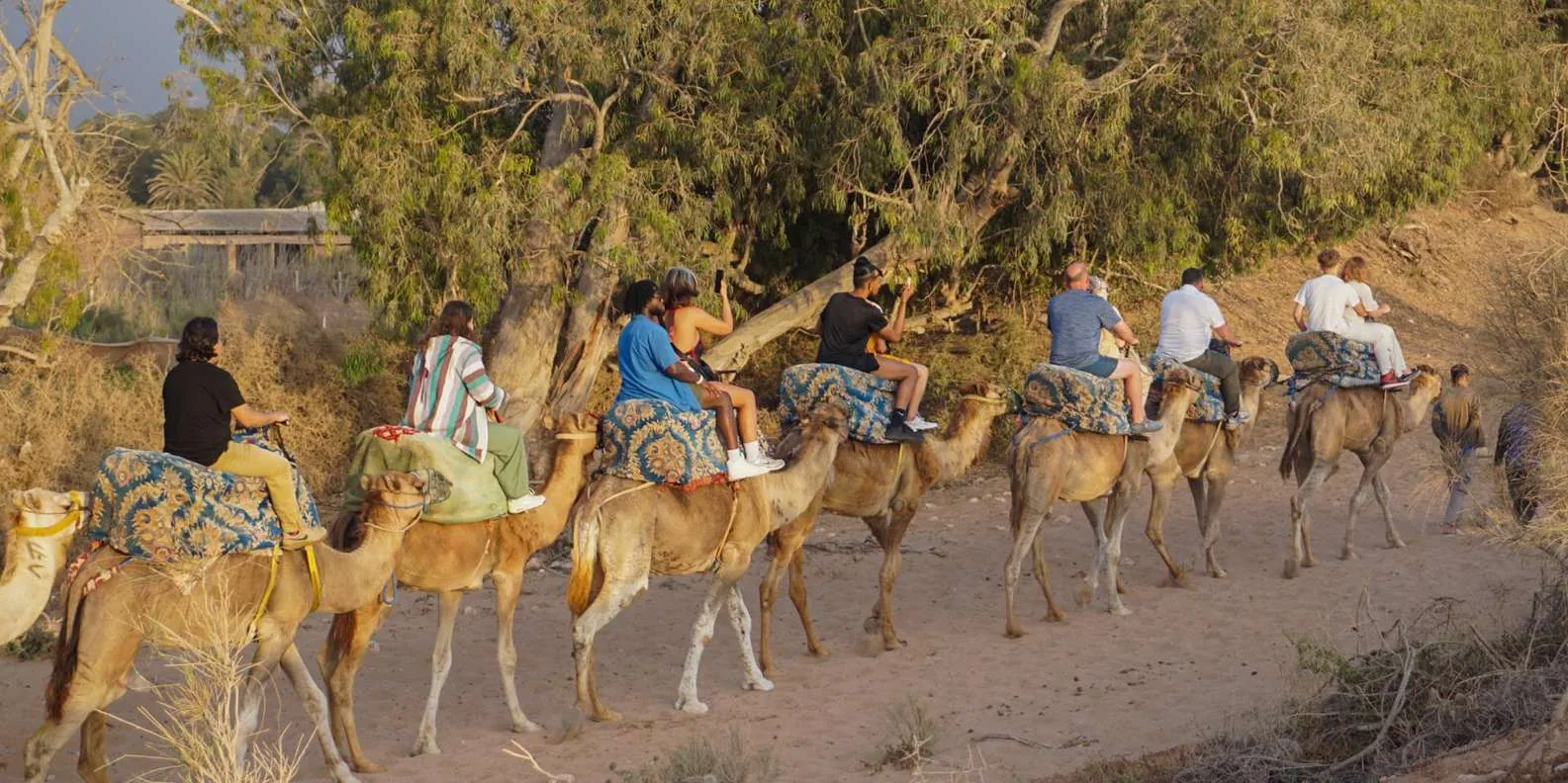 Sunset Camel Experience Agadir Morocco tour image 3