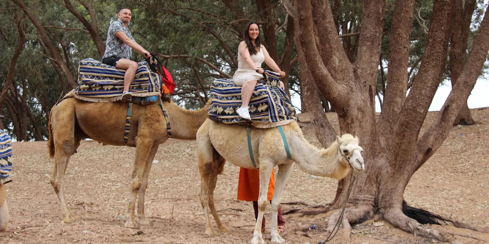Sunset Camel Experience Agadir Morocco tour image 4