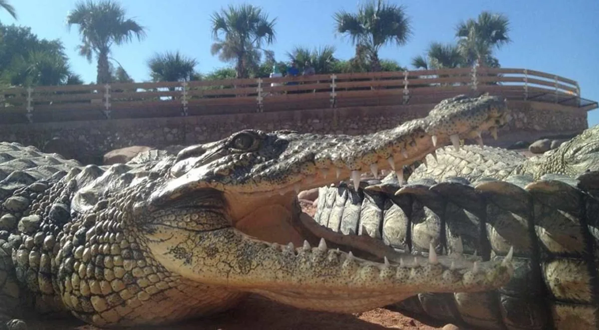 Crocoparc Agadir Morocco tour image 5