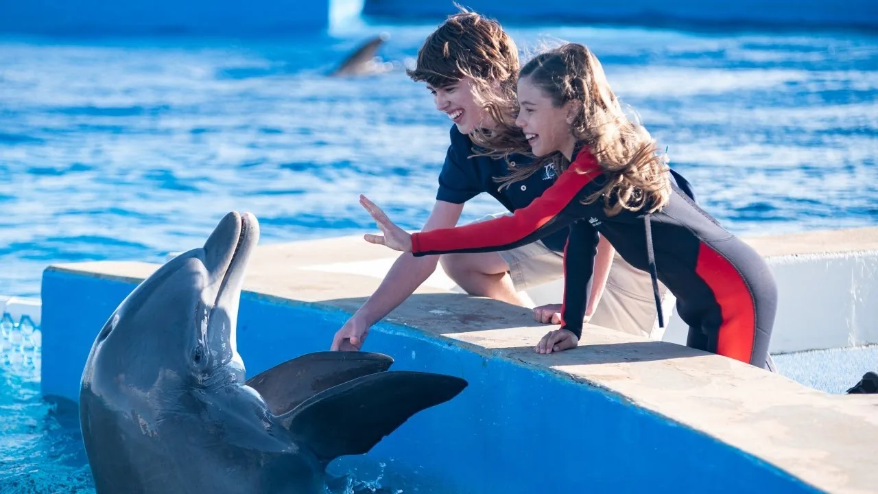 Dolphin Show Taghazout Morocco tour image 6