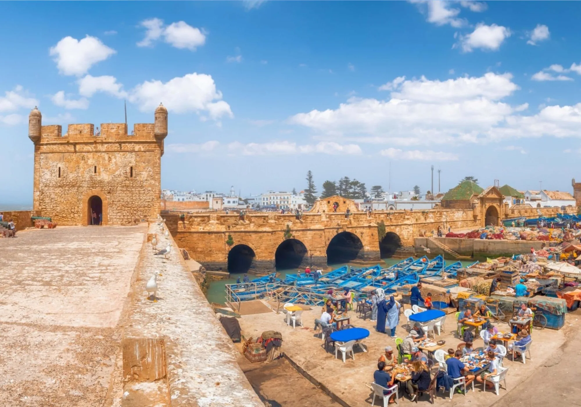 Essaouira Day Trip Taghazout Morocco tour image 4