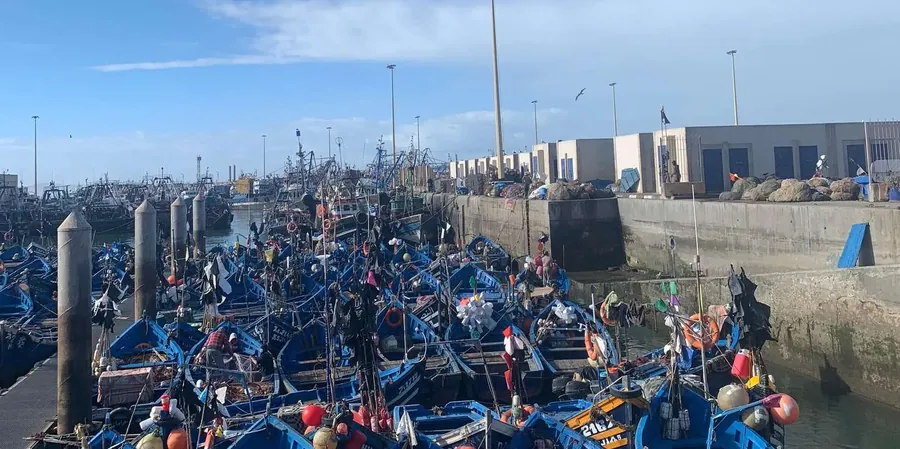 Essaouira Agadir Morocco activity thumbnail