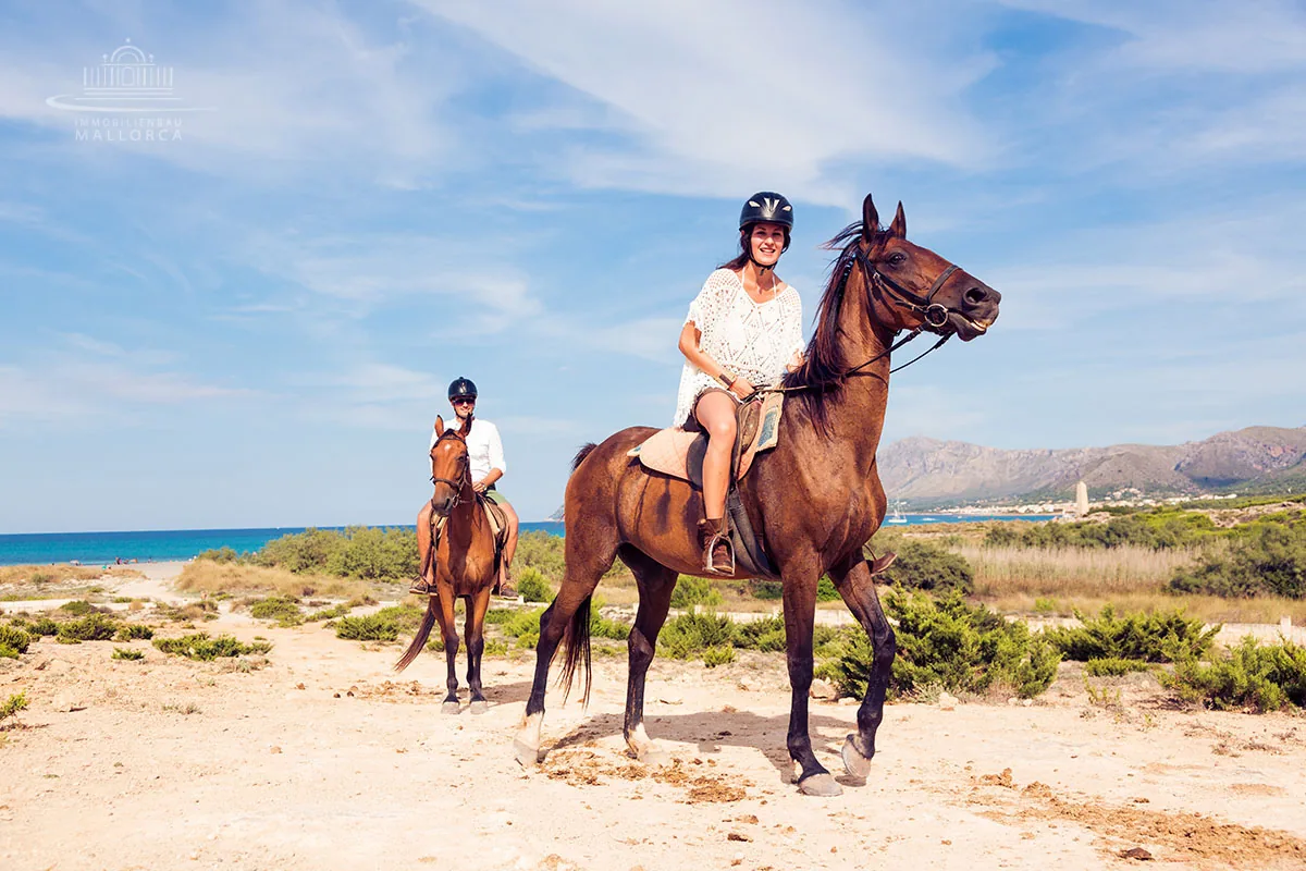 Beach Horseback Riding Agadir Morocco tour image 1