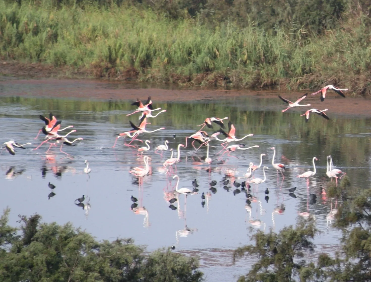 Souss National Park Taghazout Morocco tour image 4