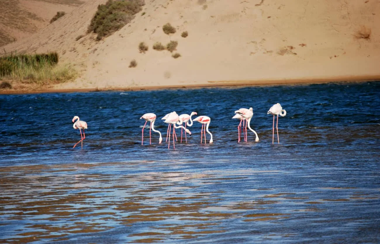 Souss National Park Taghazout Morocco tour image 7