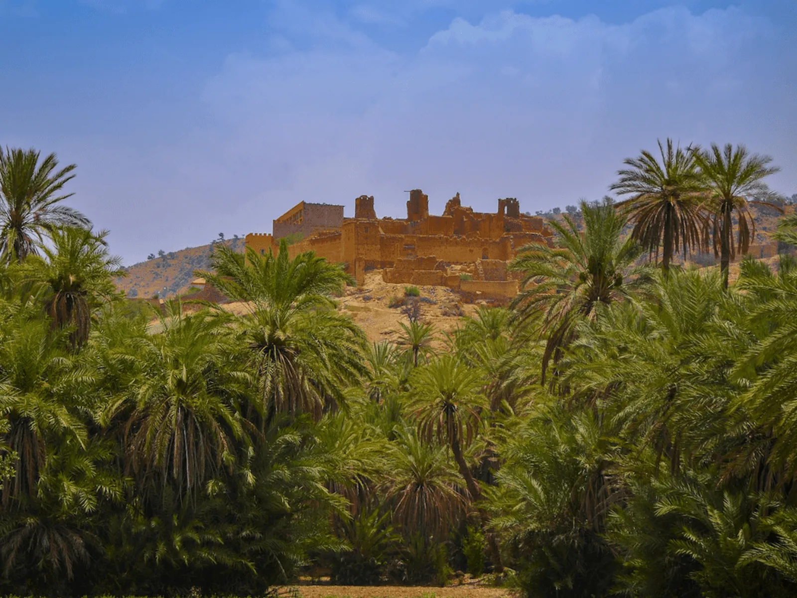 Taroudant Day Trip Taghazout Morocco tour image 7
