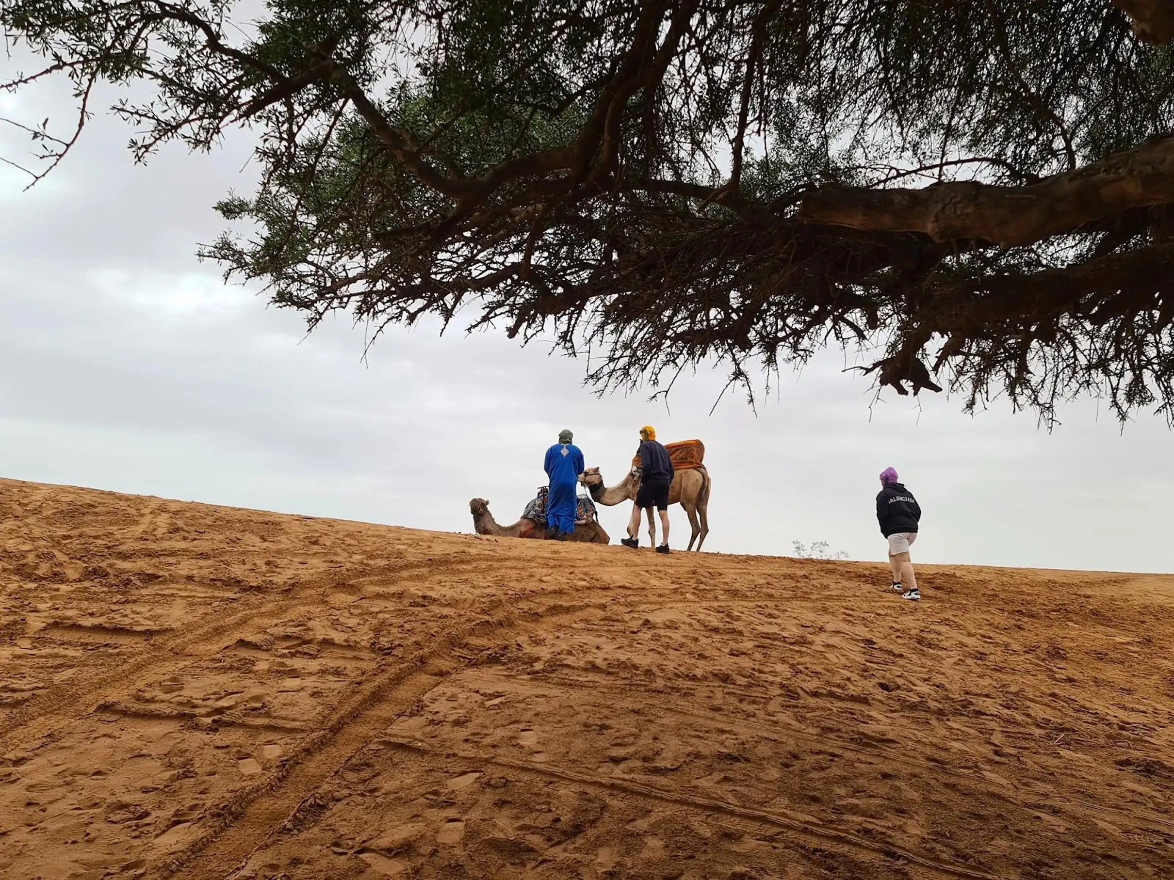 Agadir Souss-Massa 4WD Desert Jeep Safari with Lunch — photo 2