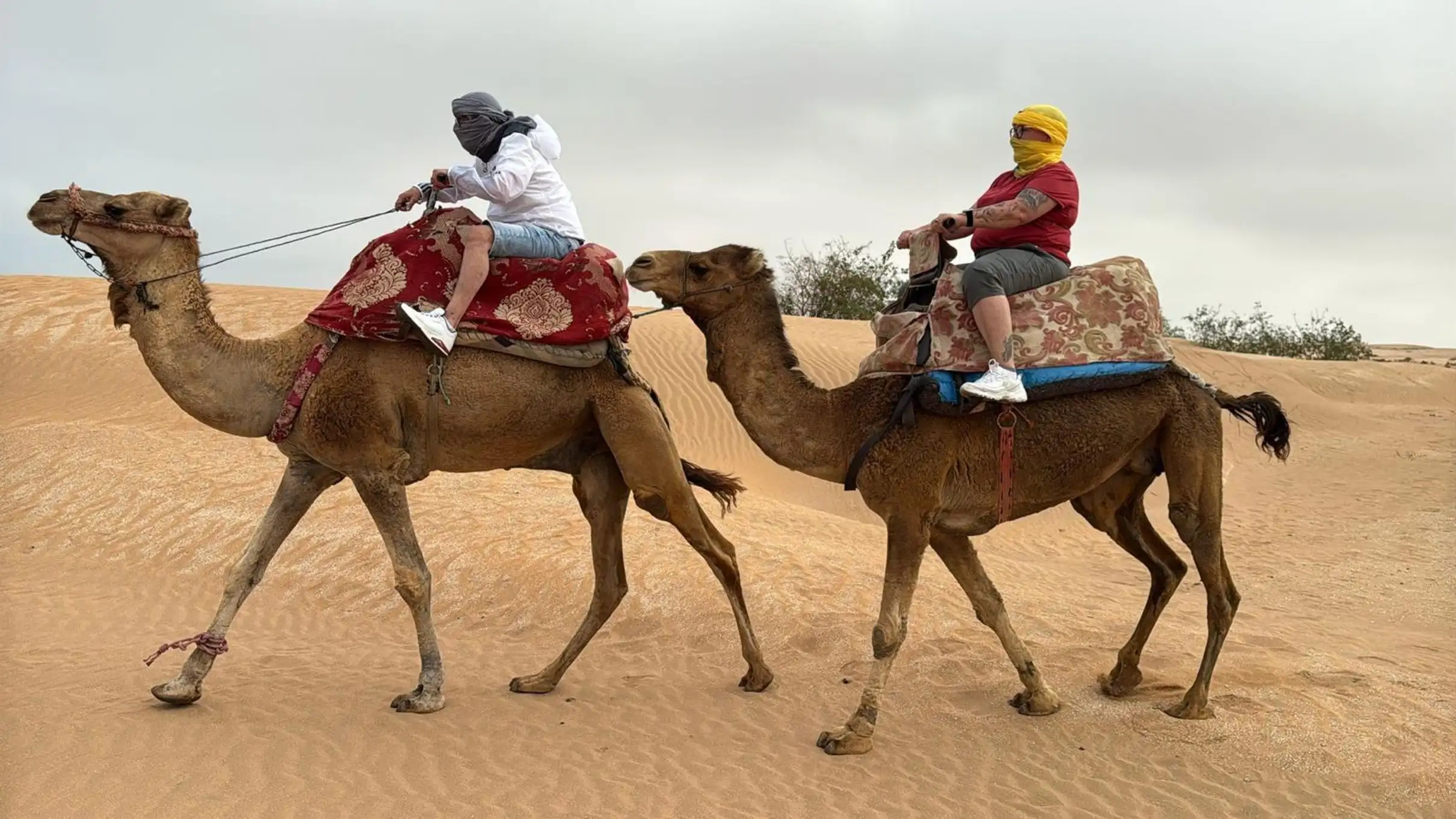 Agadir Souss-Massa 4WD Desert Jeep Safari with Lunch — photo 9