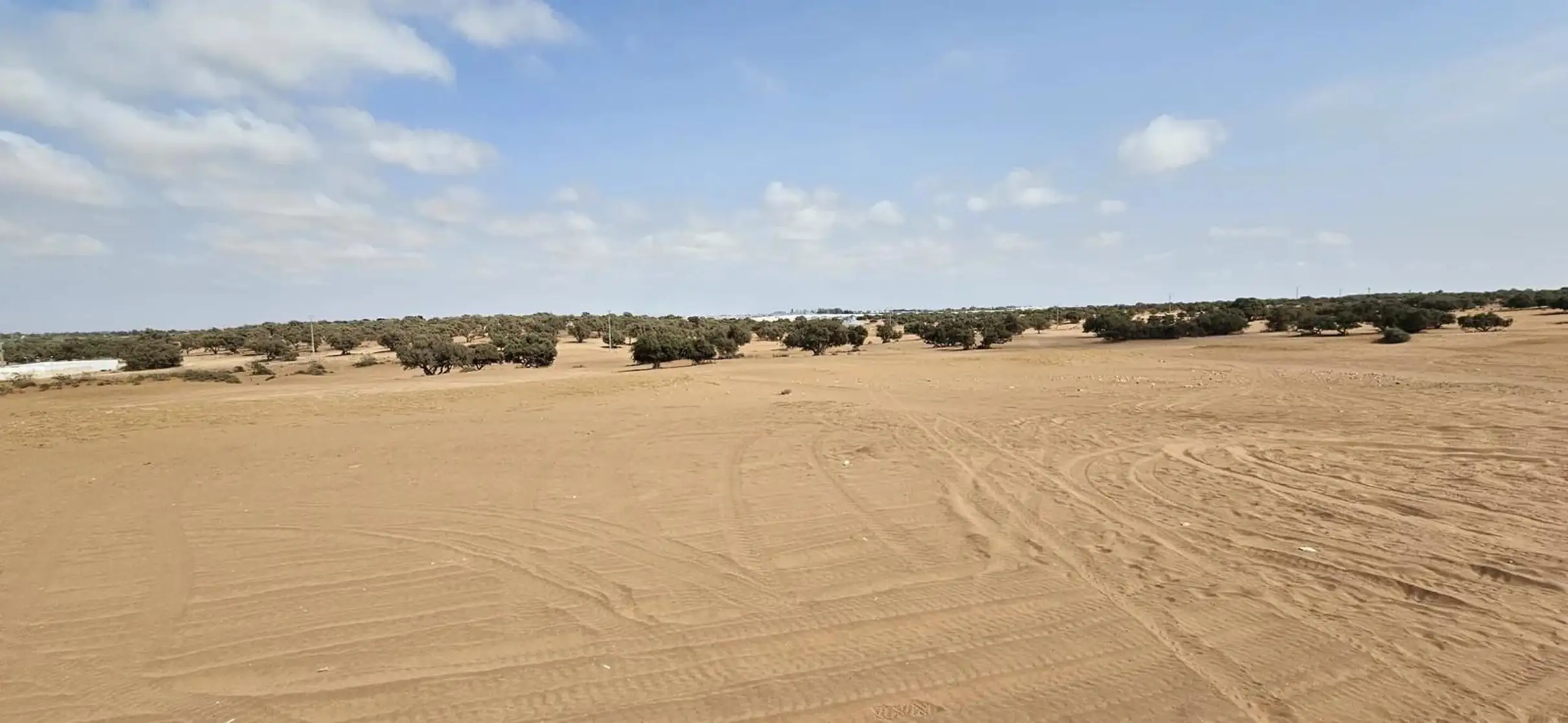 Agadir Desert Quad Bike & Sandboarding Experience — photo 3