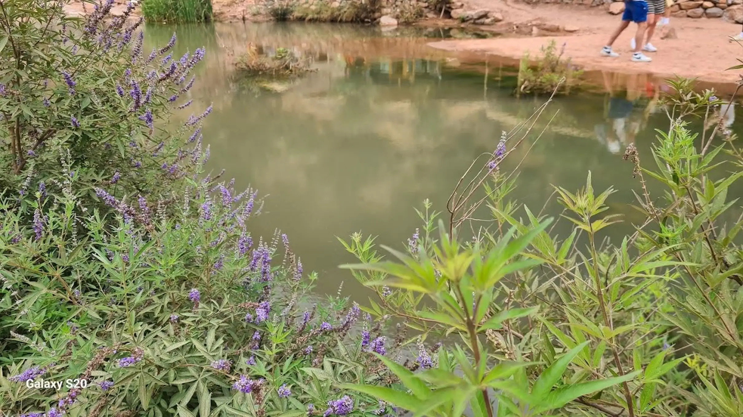 Taghazout Paradise Valley Guided Hike & Swimming Tour — photo 10