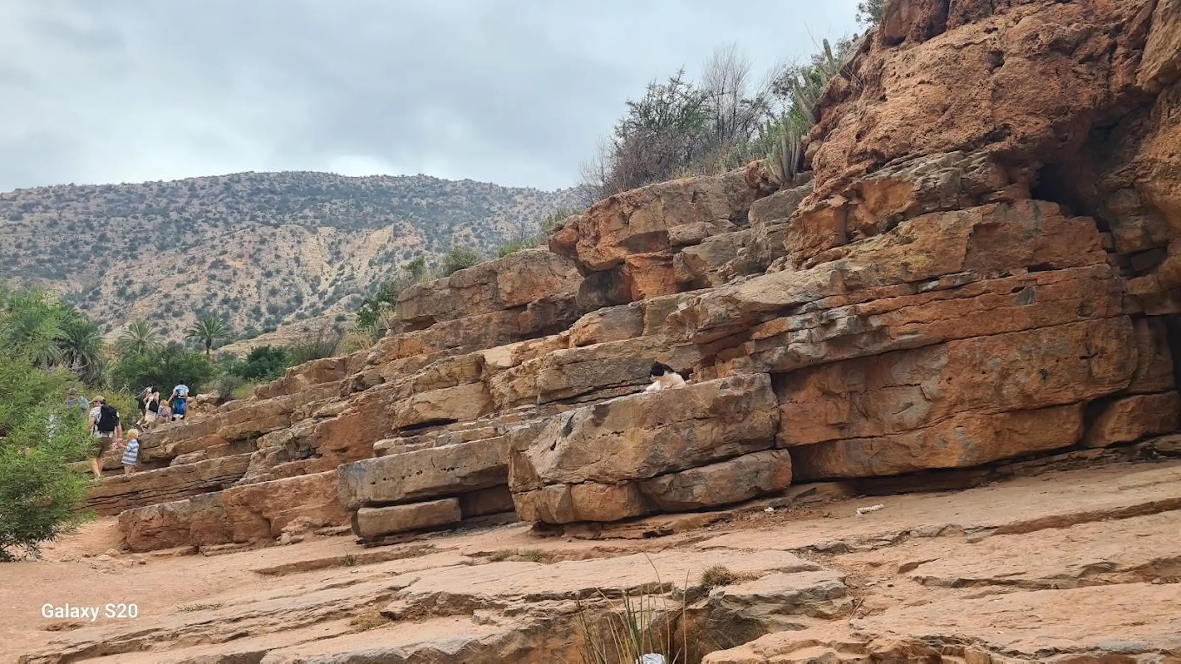 Taghazout Paradise Valley Guided Hike & Swimming Tour — photo 21